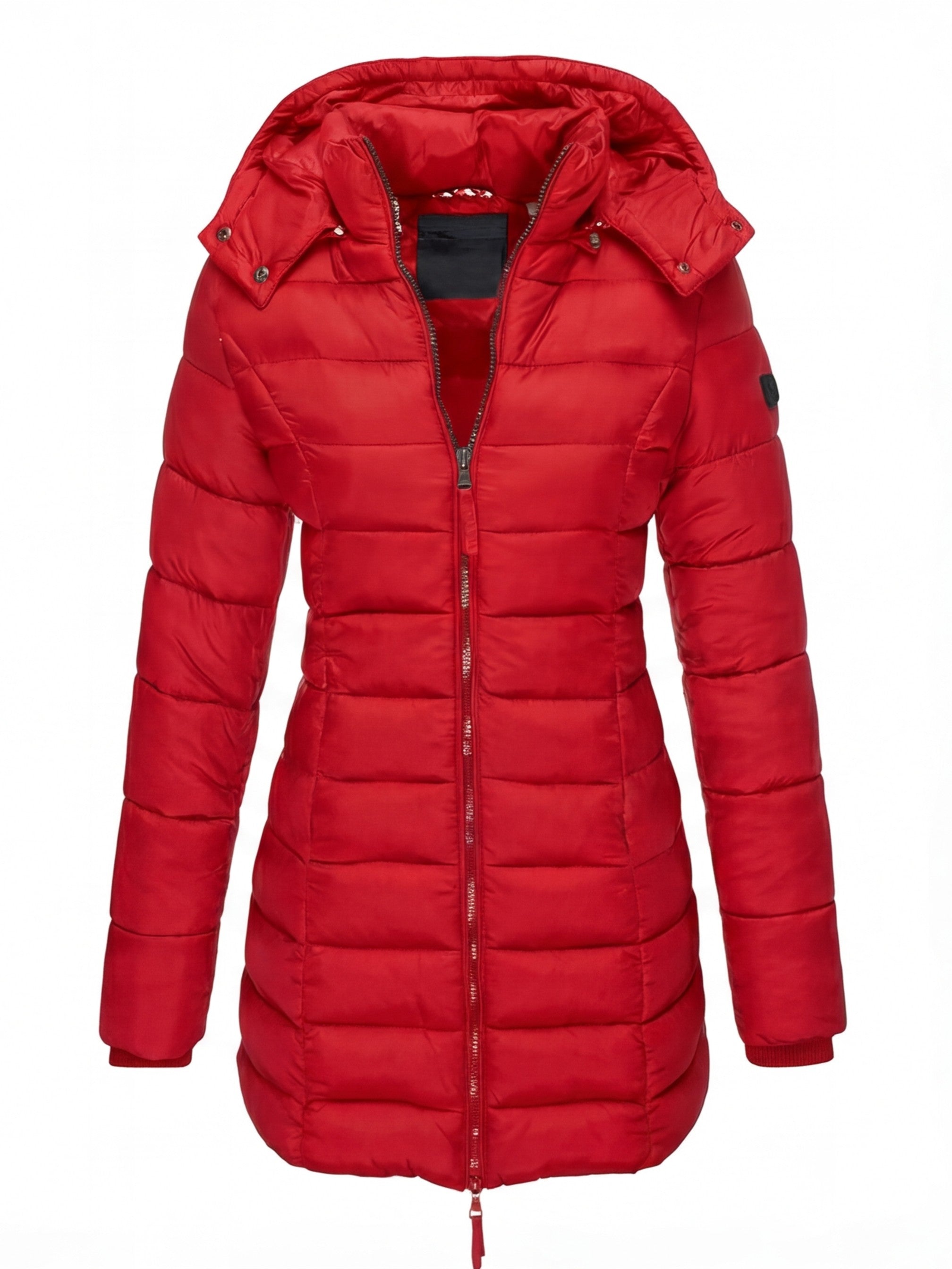 Damen Steppjacke – Leichtgewicht, Warm Gefüttert & Mit Kapuze